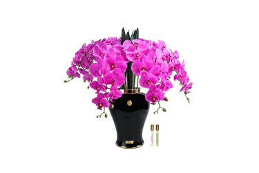 Imperial Orchid - Fuchsia - IMPO09 (Carton of 1)